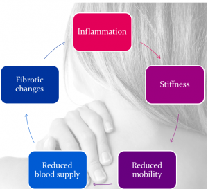 Physiology of pain and stiffness