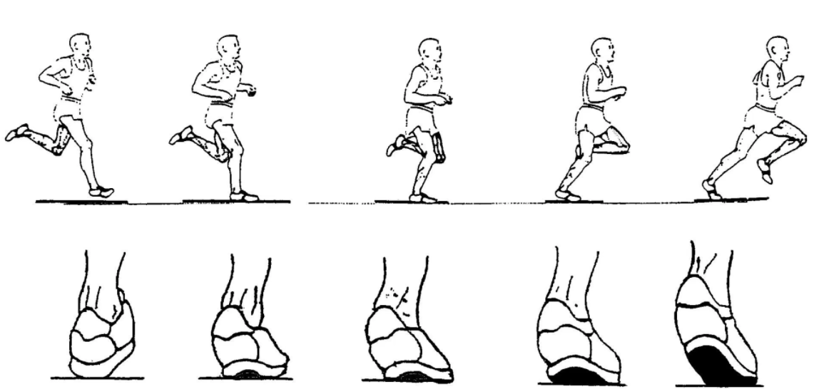 Heel mobility and related back pain