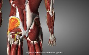 Effective treatment for Runner's Glute