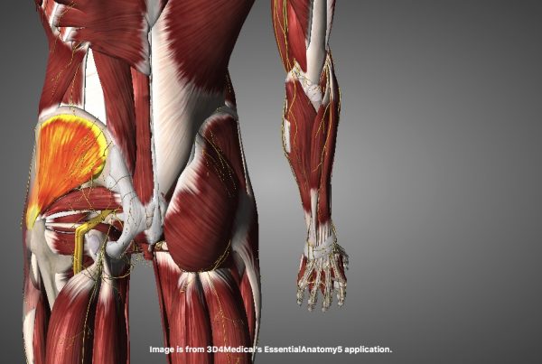 Runner's Glute pain