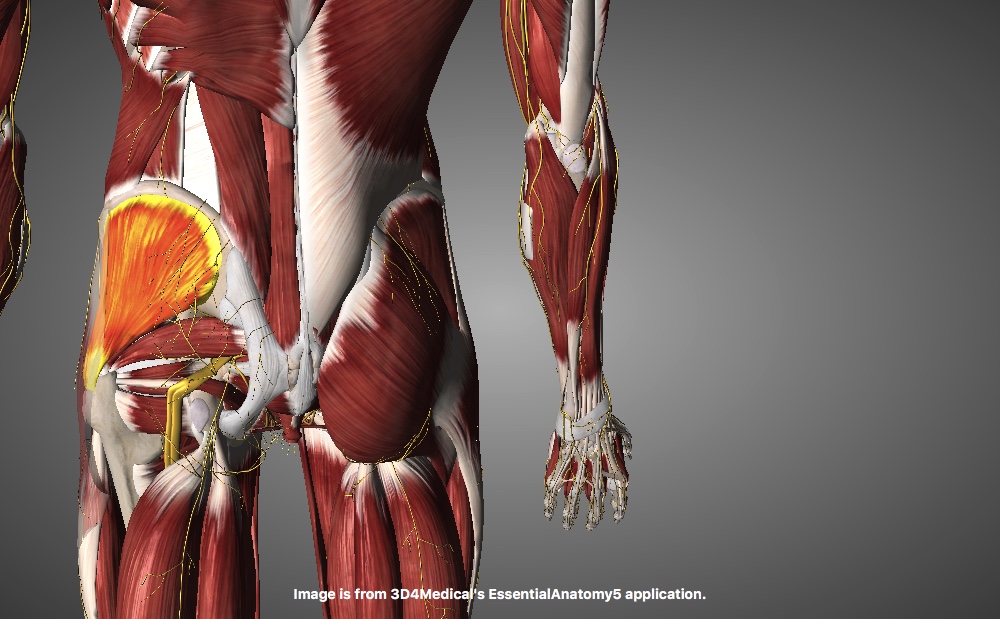 Runner's Glute pain